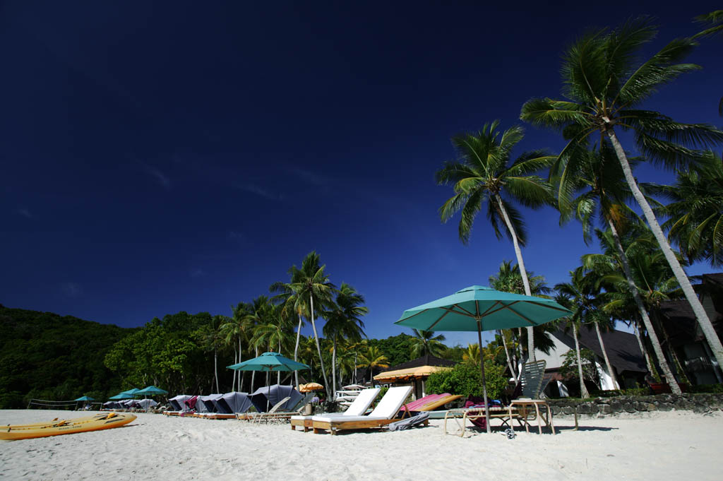 fotografia, materiale, libero il panorama, dipinga, fotografia di scorta,Un cielo blu di una spiaggia privata, Il mare, Lasi, albero di cocco, spiaggia sabbiosa