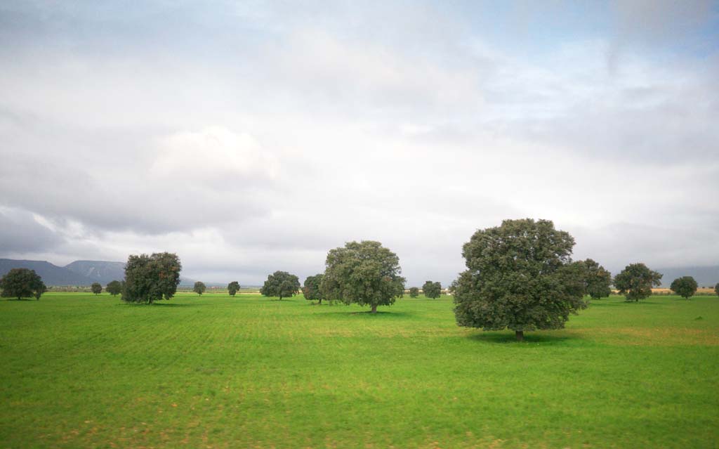 fotografia, materiale, libero il panorama, dipinga, fotografia di scorta,Vista panoramica, , , , 