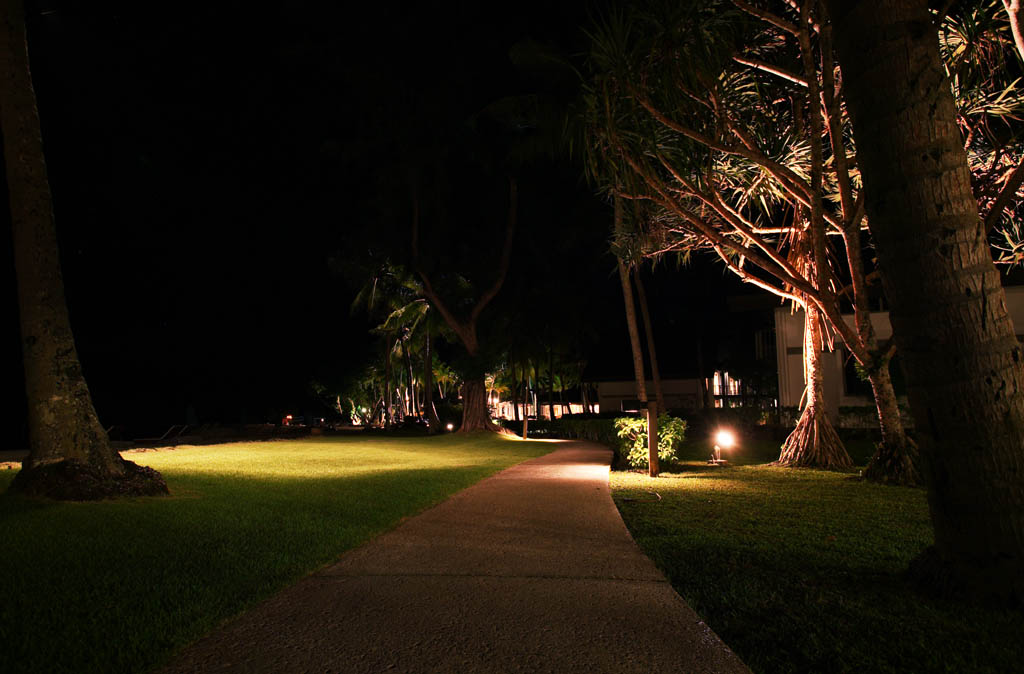 photo,material,free,landscape,picture,stock photo,Creative Commons,A narrow path of a resort, It is lighted up, southern country, lawn, tree