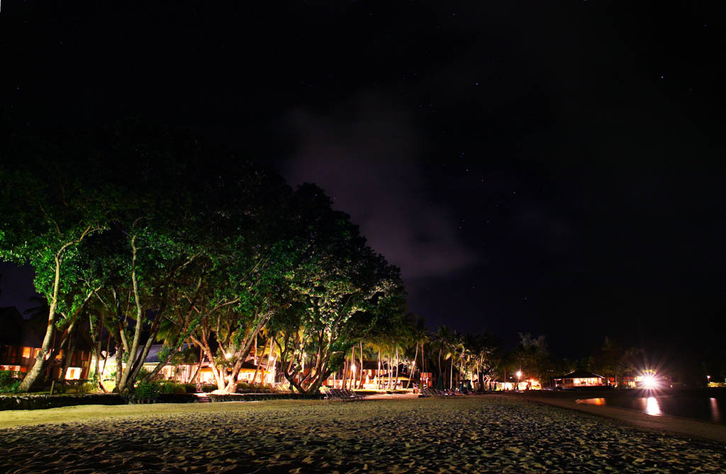 photo,material,free,landscape,picture,stock photo,Creative Commons,The star which falls in a private beach, beach, sandy beach, star, tree