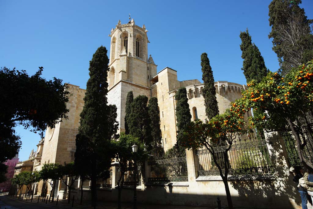 fotografia, material, livra, ajardine, imagine, proveja fotografia,A Catedral, , , , 