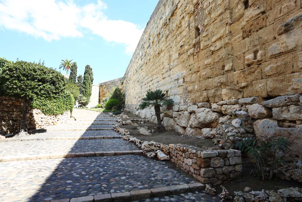 fotografia, materiale, libero il panorama, dipinga, fotografia di scorta,Roma le mura della citt, , , , 