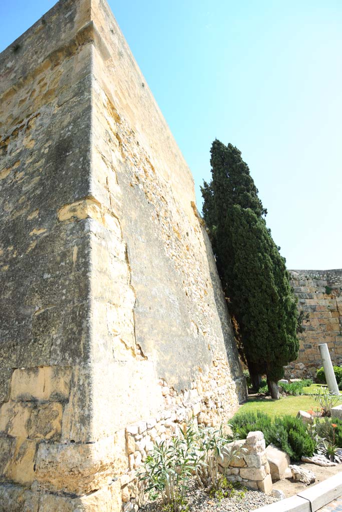 fotografia, materiale, libero il panorama, dipinga, fotografia di scorta,Roma le mura della citt, , , , 