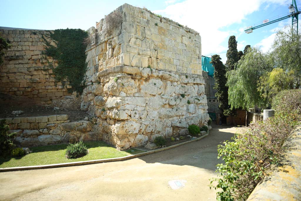 fotografia, materiale, libero il panorama, dipinga, fotografia di scorta,Roma le mura della citt, , , , 