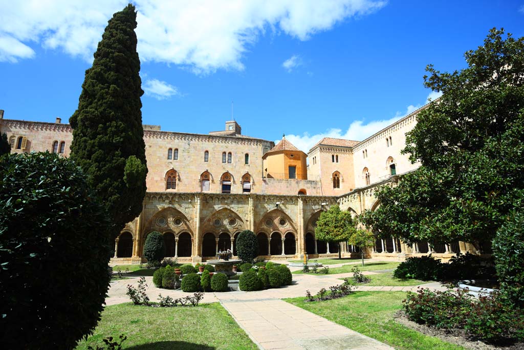 fotografia, materiale, libero il panorama, dipinga, fotografia di scorta,La Cattedrale, , , , 