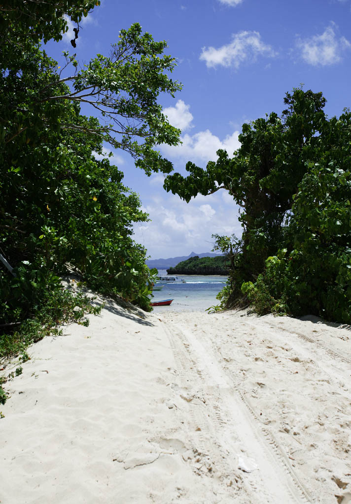 fotografia, materiale, libero il panorama, dipinga, fotografia di scorta,Un percorso di paese meridionale, spiaggia sabbiosa, Il mare, spiaggia, strada