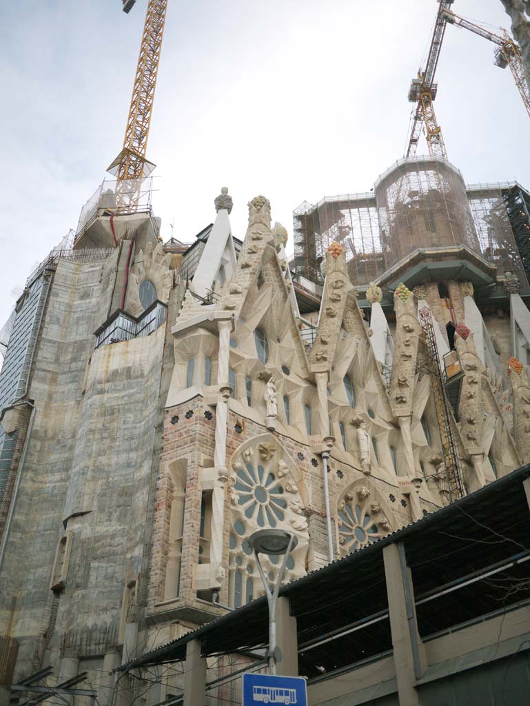 fotografia, material, livra, ajardine, imagine, proveja fotografia,A Sagrada Familia, , , , 