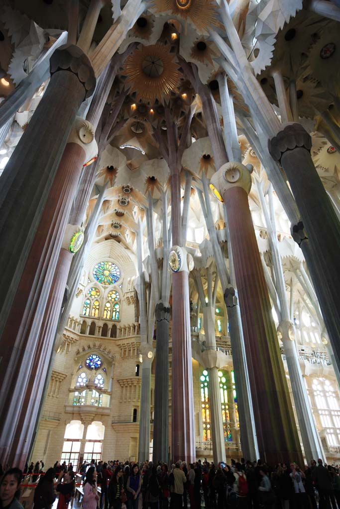 Foto, materieel, vrij, landschap, schilderstuk, bevoorraden foto,De Sagrada Familia!, , , , 