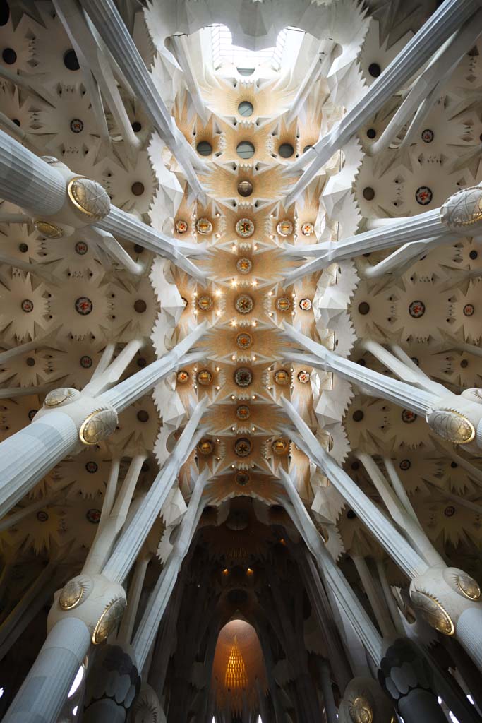 fotografia, materiale, libero il panorama, dipinga, fotografia di scorta,La Sagrada Familia, , , , 