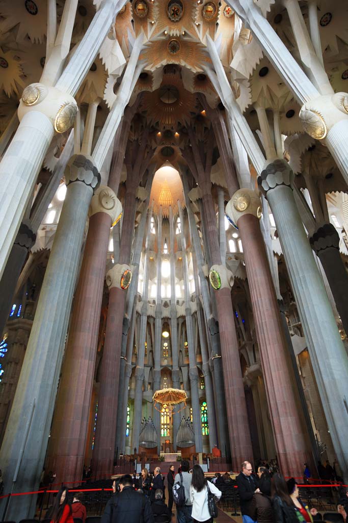 Foto, materiell, befreit, Landschaft, Bild, hat Foto auf Lager,Die Sagrada Familia, , , , 