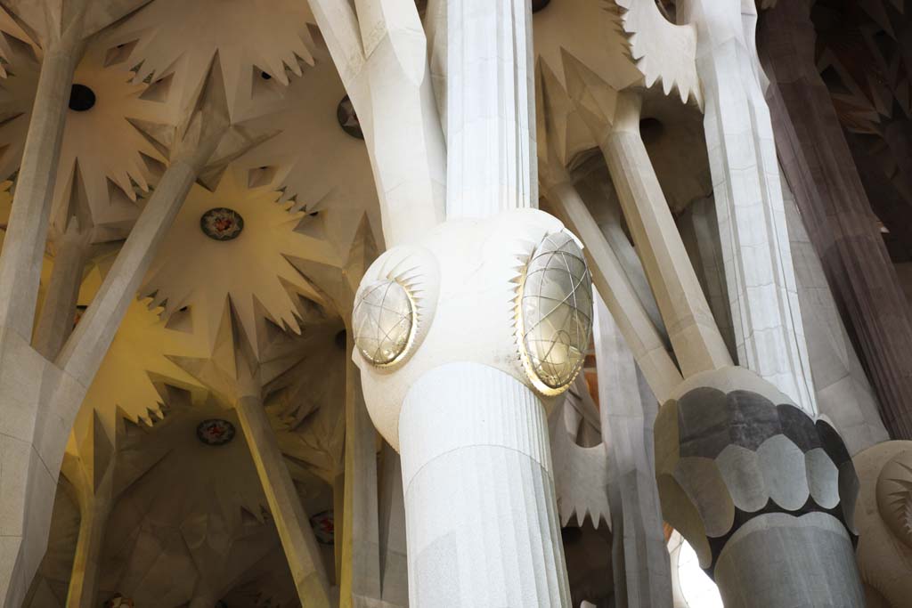 ,,, ,,,Sagrada Familia, , , , 