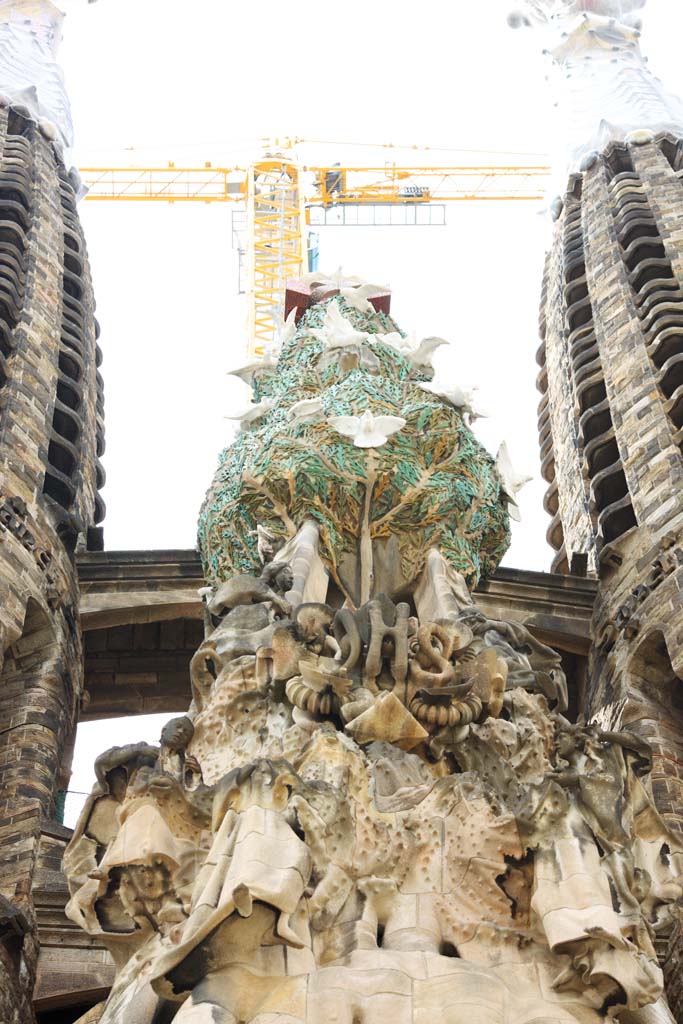 Foto, materieel, vrij, landschap, schilderstuk, bevoorraden foto,De Sagrada Familia!, , , , 