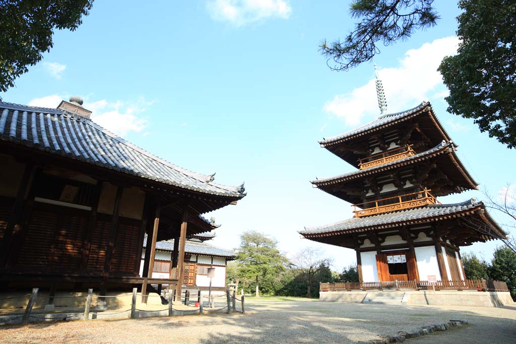 fotografia, materiale, libero il panorama, dipinga, fotografia di scorta,Tempio Hokiji, , , , 