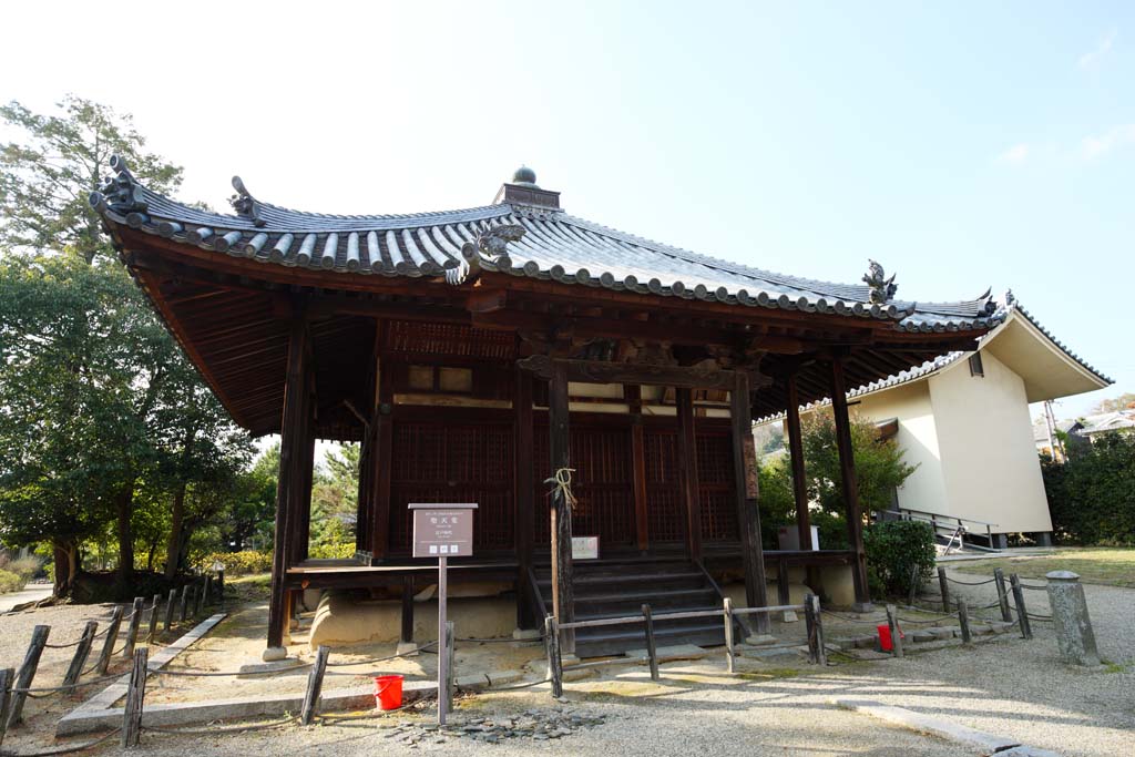 photo,material,free,landscape,picture,stock photo,Creative Commons,Hokiji Temple, , , , 