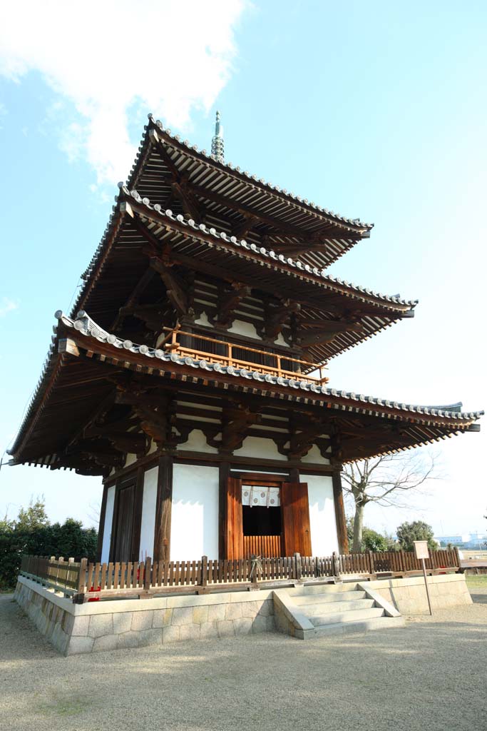 foto,tela,gratis,paisaje,fotografa,idea,Templo Hokiji, , , , 