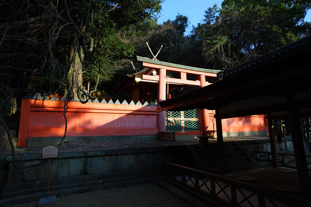 photo,material,free,landscape,picture,stock photo,Creative Commons,Kasuga Taisha Shrine, , , , 