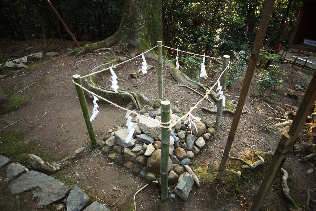 fotografia, materiale, libero il panorama, dipinga, fotografia di scorta,Kasuga Taisha, , , , 