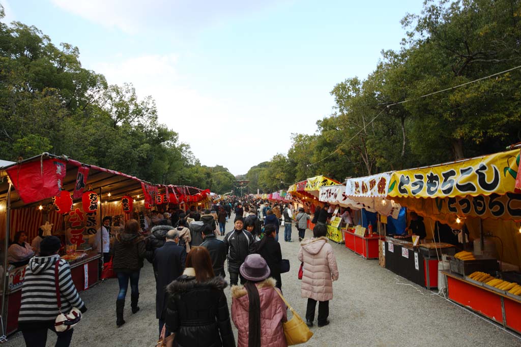 Foto, materiell, befreit, Landschaft, Bild, hat Foto auf Lager,Sattledt Jingu-schrein, , , , 