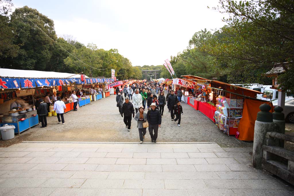 Foto, materieel, vrij, landschap, schilderstuk, bevoorraden foto,Kashihara Jingu Shrine, , , , 