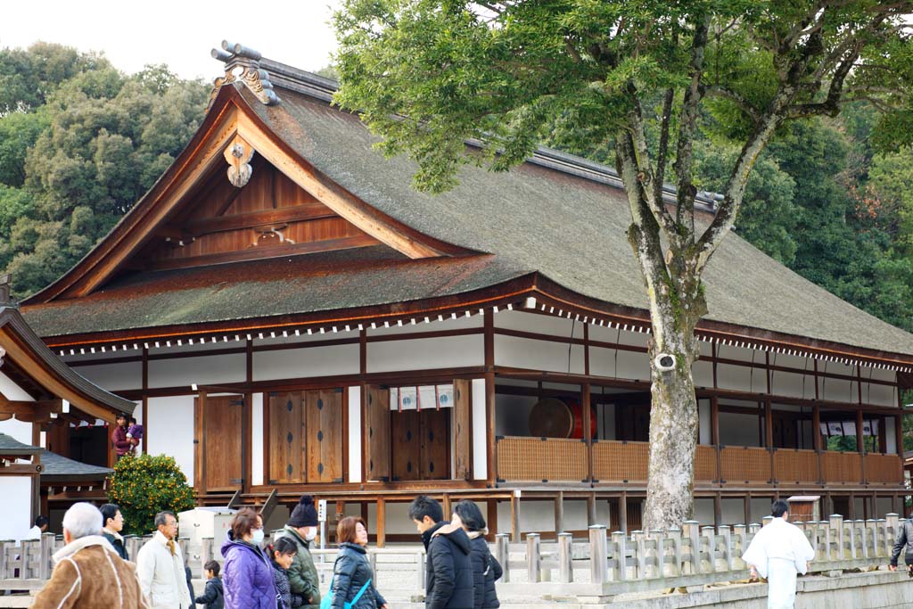 fotografia, materiale, libero il panorama, dipinga, fotografia di scorta,Kashihara Jingu, , , , 