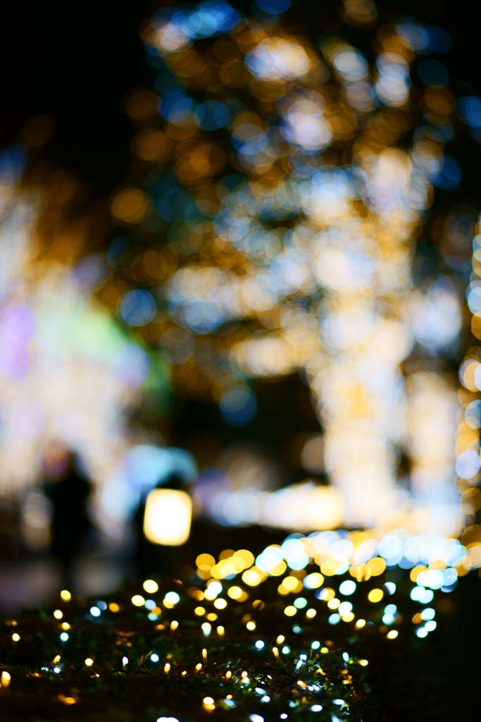 photo,material,free,landscape,picture,stock photo,Creative Commons,Shinjuku Illumination, , , , 