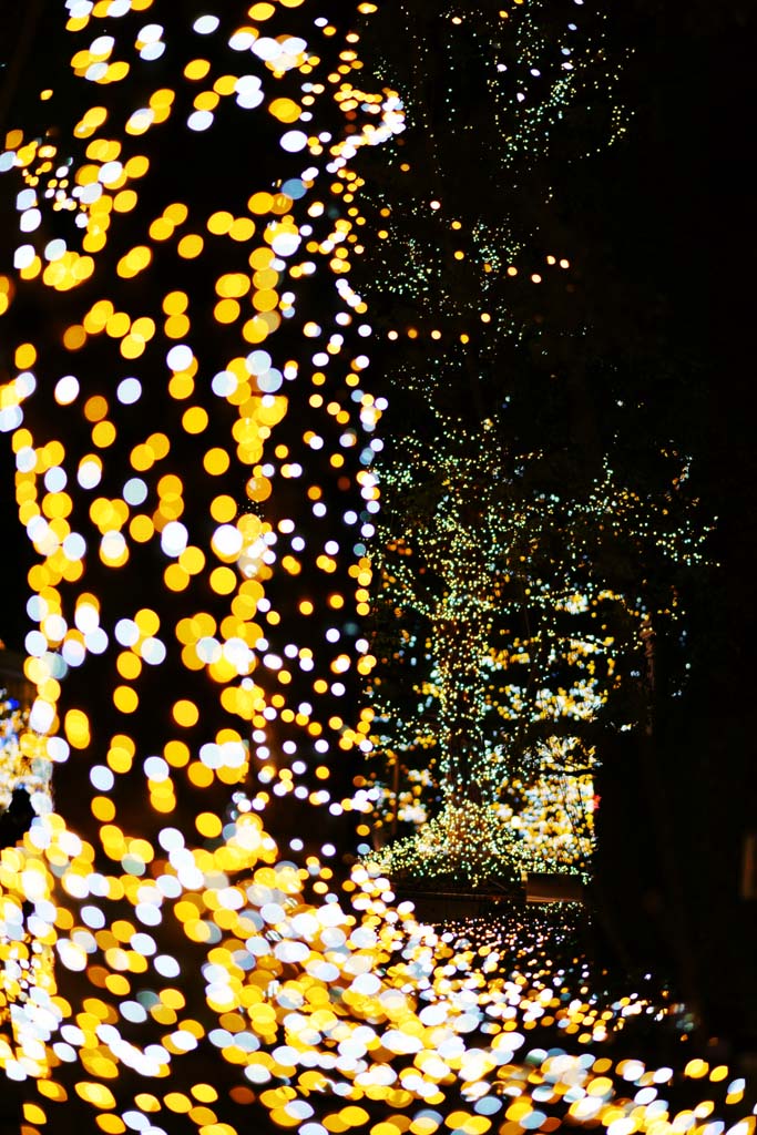 foto,tela,gratis,paisaje,fotografa,idea,Iluminacin de Shinjuku, , , , 