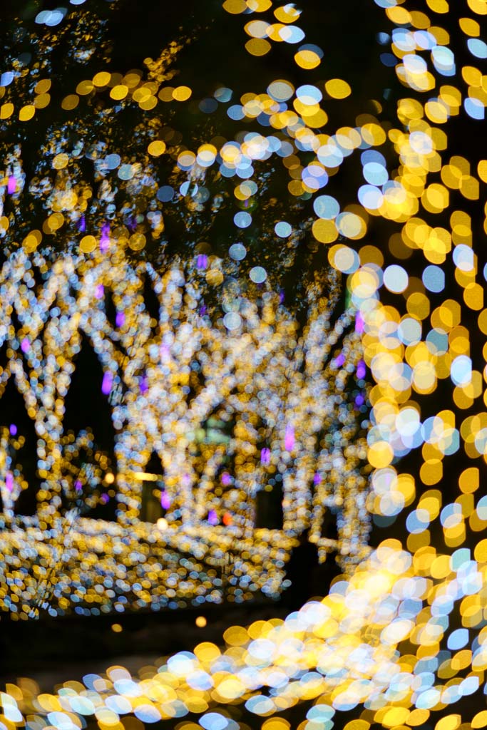 photo,material,free,landscape,picture,stock photo,Creative Commons,Shinjuku Illumination, , , , 