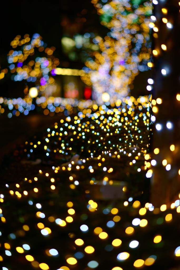 photo,material,free,landscape,picture,stock photo,Creative Commons,Shinjuku Illumination, , , , 