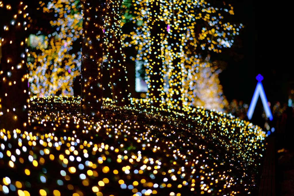 photo,material,free,landscape,picture,stock photo,Creative Commons,Shinjuku Illumination, , , , 