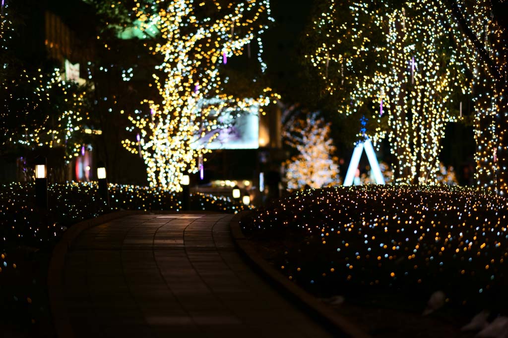 photo, la matire, libre, amnage, dcrivez, photo de la rserve,Shinjuku Illumination, , , , 