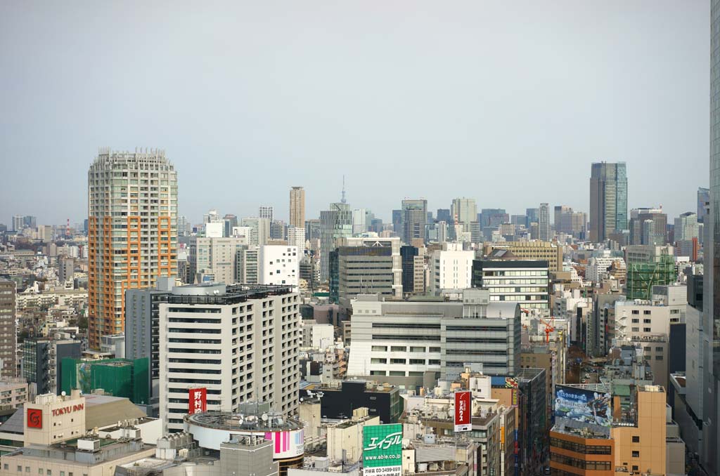 Foto, materieel, vrij, landschap, schilderstuk, bevoorraden foto,Shibuya, , , , 