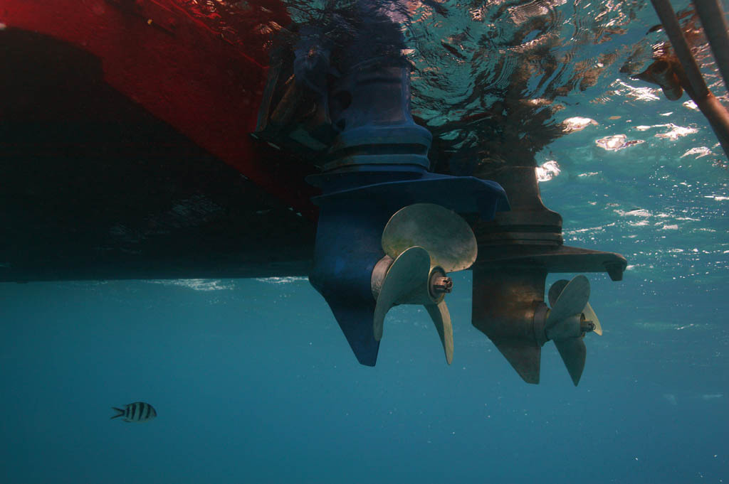 fotografia, materiale, libero il panorama, dipinga, fotografia di scorta,Una vite, nave, vite, Nel mare, fotografia subacquea