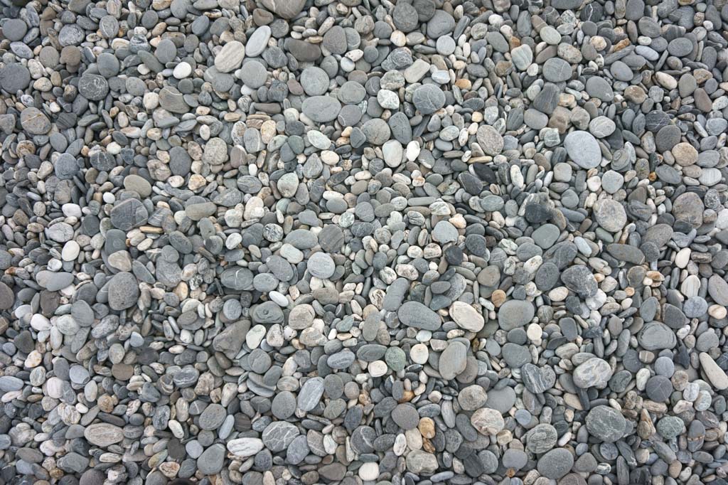 photo,material,free,landscape,picture,stock photo,Creative Commons,Flower series of coastal stone, , , , 