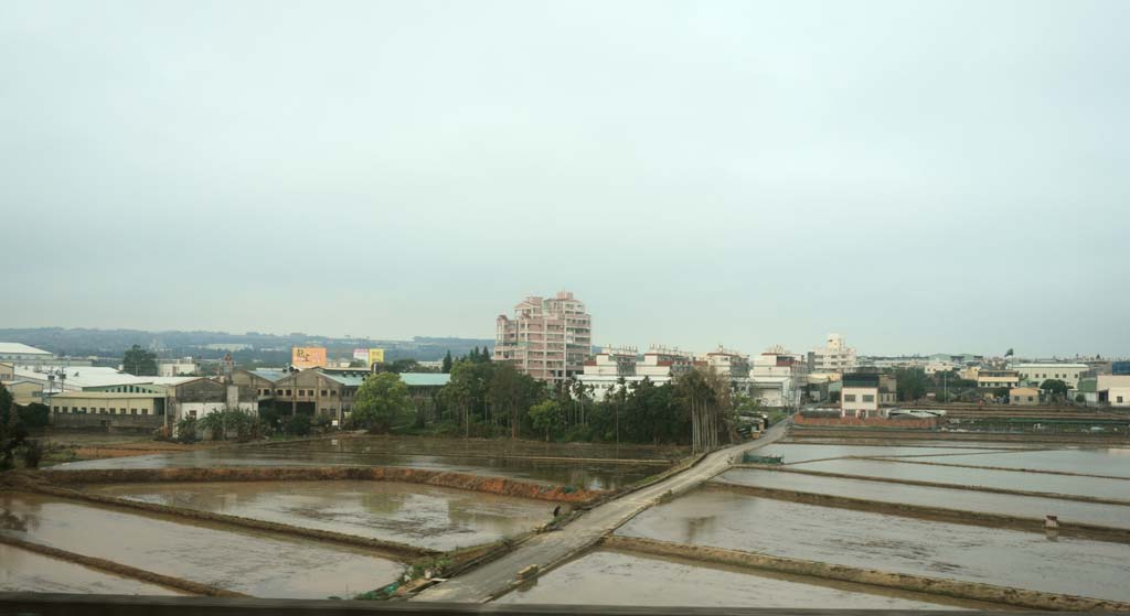 fotografia, materiale, libero il panorama, dipinga, fotografia di scorta,Taiwan risone campo, , , , 