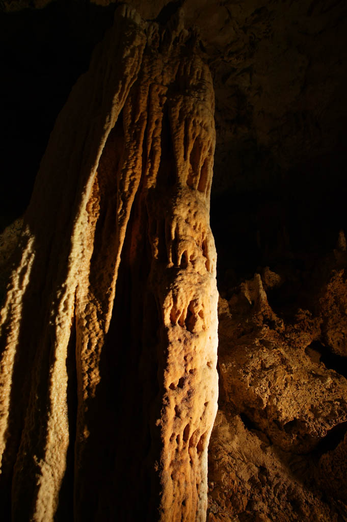 fotografia, material, livra, ajardine, imagine, proveja fotografia,Ishigaki-jima Ilha estalactite caverna, caverna de estalactite, Estalactite, Pedra calcria, caverna