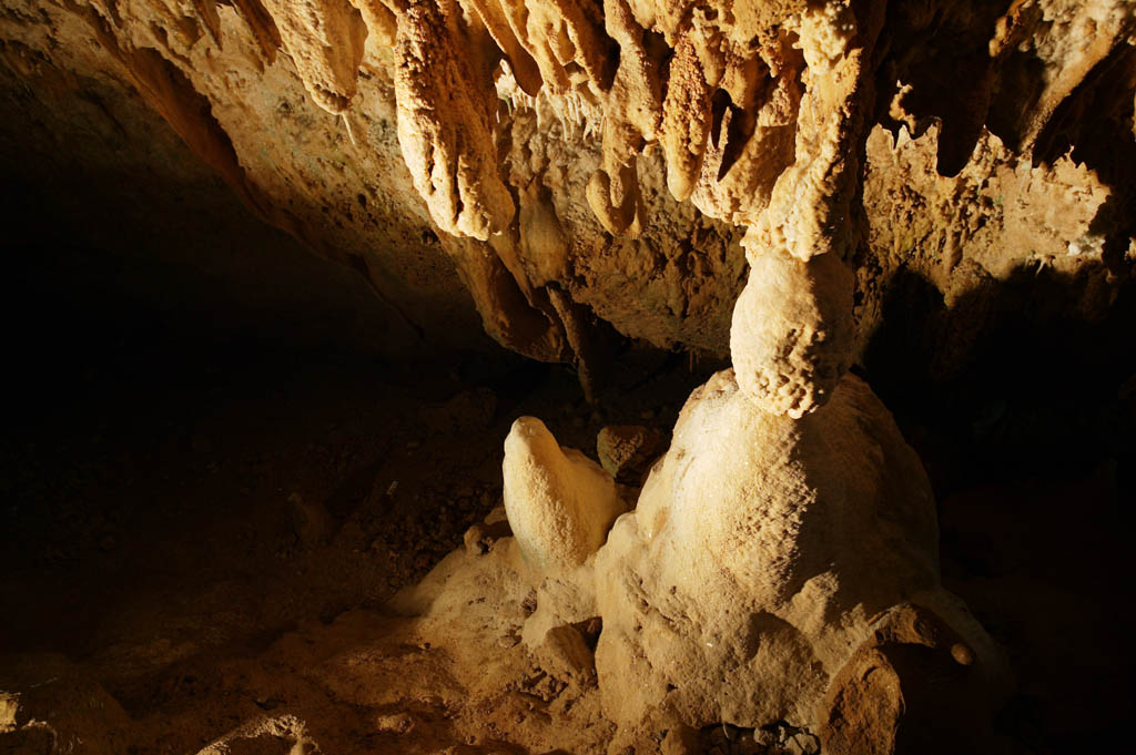 fotografia, material, livra, ajardine, imagine, proveja fotografia,Ishigaki-jima Ilha estalactite caverna, caverna de estalactite, Estalactite, Pedra calcria, caverna