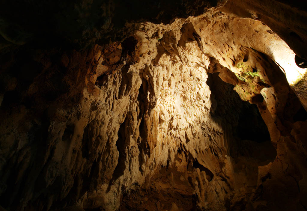 fotografia, material, livra, ajardine, imagine, proveja fotografia,Ishigaki-jima Ilha estalactite caverna, caverna de estalactite, Estalactite, Pedra calcria, caverna