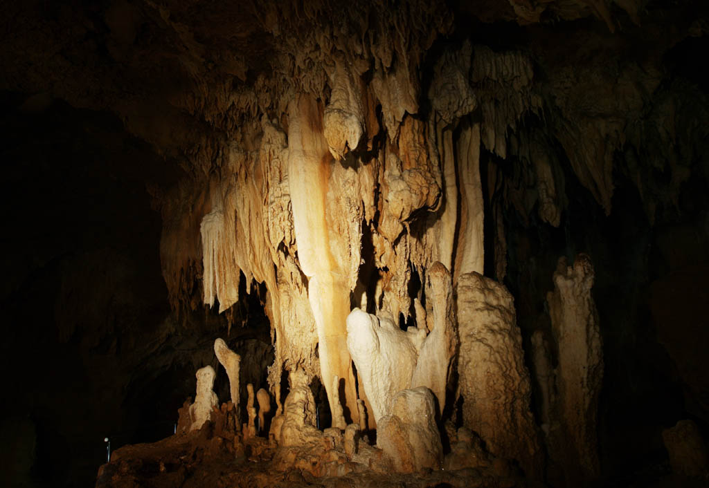 fotografia, material, livra, ajardine, imagine, proveja fotografia,Ishigaki-jima Ilha estalactite caverna, caverna de estalactite, Estalactite, Pedra calcria, caverna