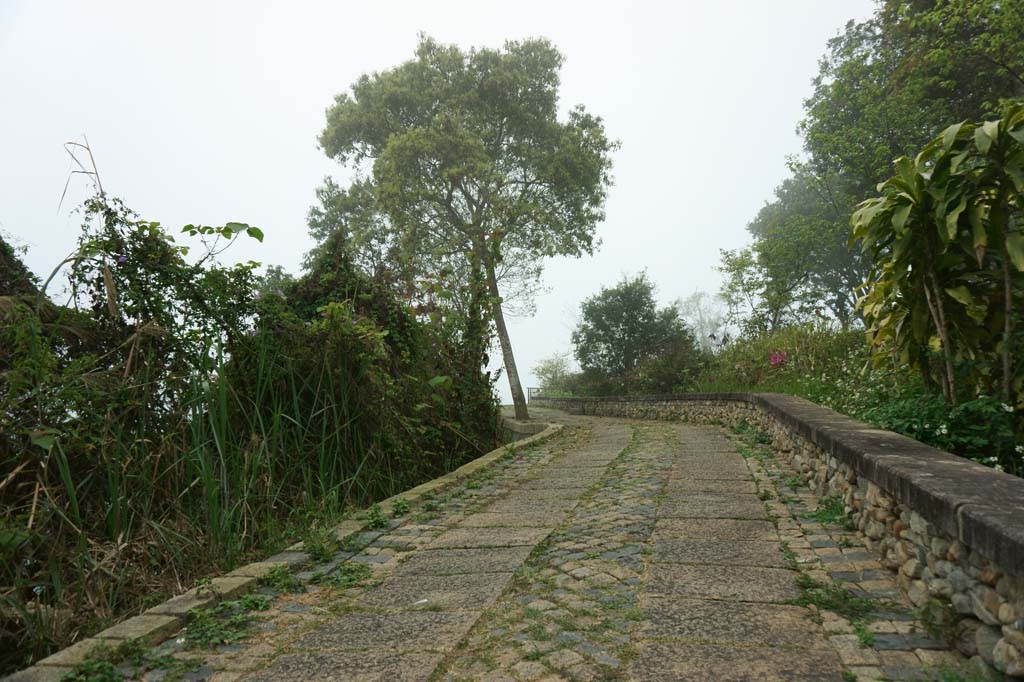 fotografia, materiale, libero il panorama, dipinga, fotografia di scorta,Nebbia di mattina di sole luna, , , , 