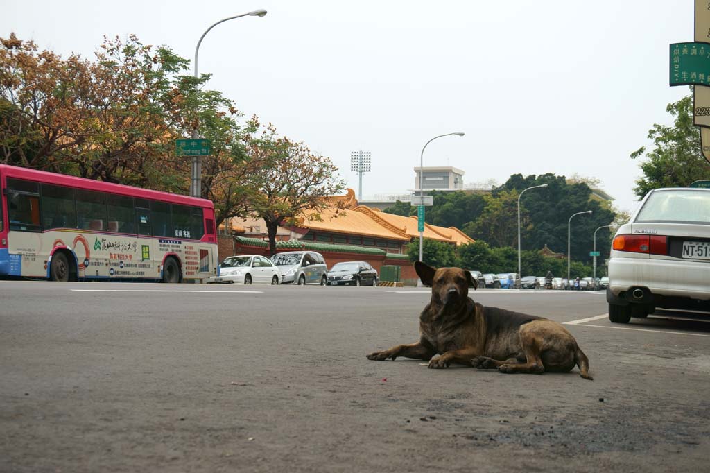 photo,material,free,landscape,picture,stock photo,Creative Commons,Taichung, , , , 