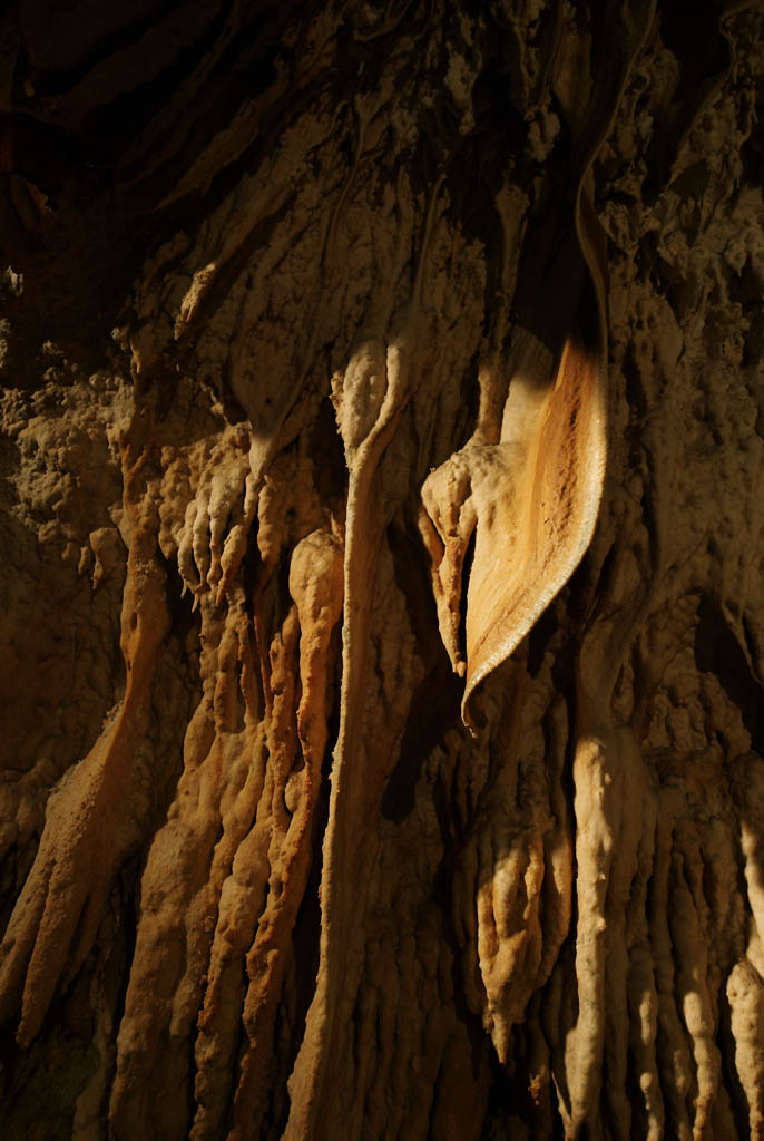 fotografia, material, livra, ajardine, imagine, proveja fotografia,Ishigaki-jima Ilha estalactite caverna, caverna de estalactite, Estalactite, Pedra calcria, caverna