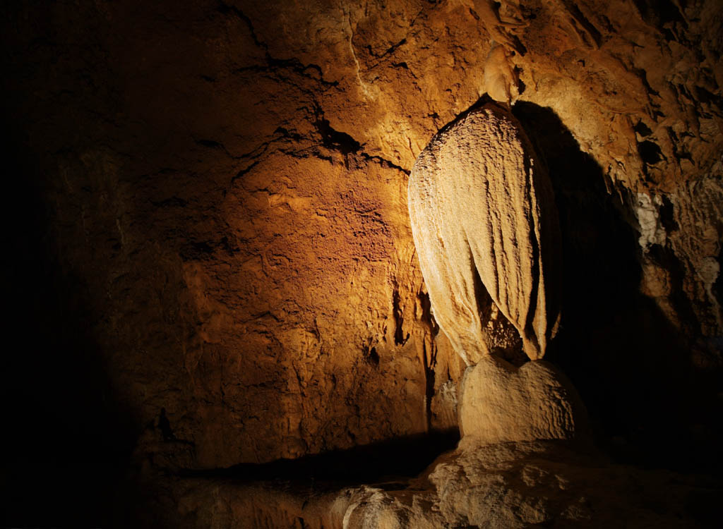 fotografia, material, livra, ajardine, imagine, proveja fotografia,Ishigaki-jima Ilha estalactite caverna, caverna de estalactite, Estalactite, Pedra calcria, caverna