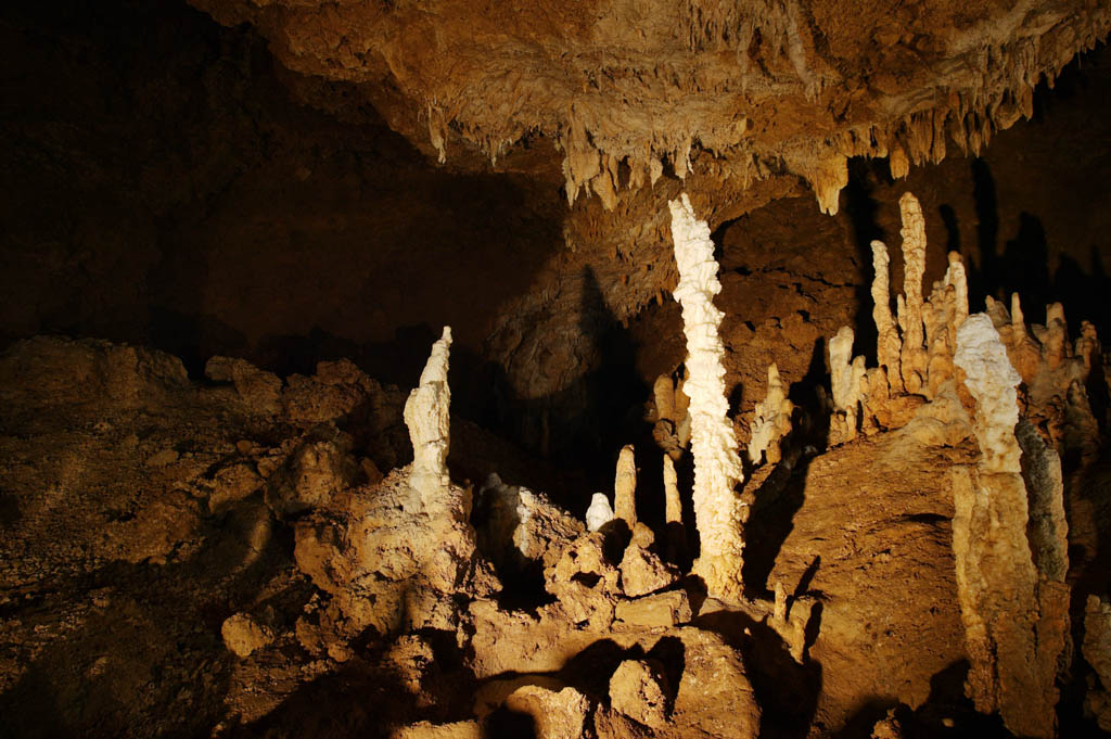 fotografia, material, livra, ajardine, imagine, proveja fotografia,Ishigaki-jima Ilha estalactite caverna, caverna de estalactite, Estalactite, Pedra calcria, caverna