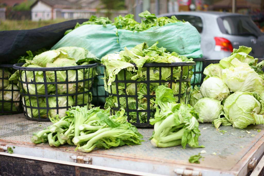 photo,material,free,landscape,picture,stock photo,Creative Commons,Beipu selling vegetables, , , , 