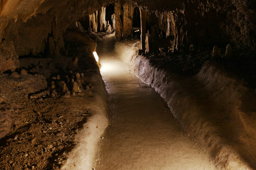 fotografia, material, livra, ajardine, imagine, proveja fotografia,Ishigaki-jima Ilha estalactite caverna, caverna de estalactite, Estalactite, Pedra calcria, caverna