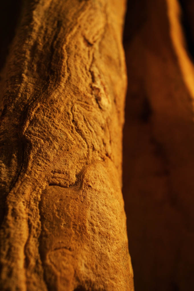 foto,tela,gratis,paisaje,fotografa,idea,Cueva de estalactita de isla de jima de - de Ishigaki, Cueva de estalactita, Estalactita, Piedra caliza, Cueva