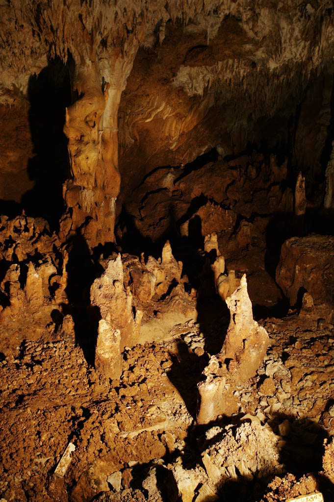 foto,tela,gratis,paisaje,fotografa,idea,Cueva de estalactita de isla de jima de - de Ishigaki, Cueva de estalactita, Estalactita, Piedra caliza, Cueva