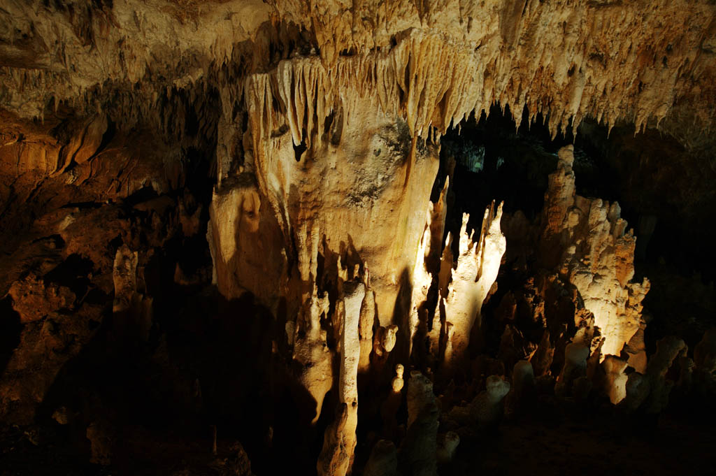 fotografia, material, livra, ajardine, imagine, proveja fotografia,Ishigaki-jima Ilha estalactite caverna, caverna de estalactite, Estalactite, Pedra calcria, caverna