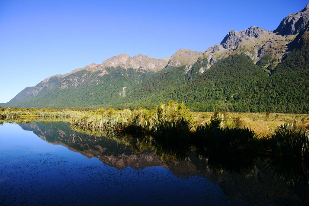 Foto, materiell, befreit, Landschaft, Bild, hat Foto auf Lager,Mirror Lake, , , , 