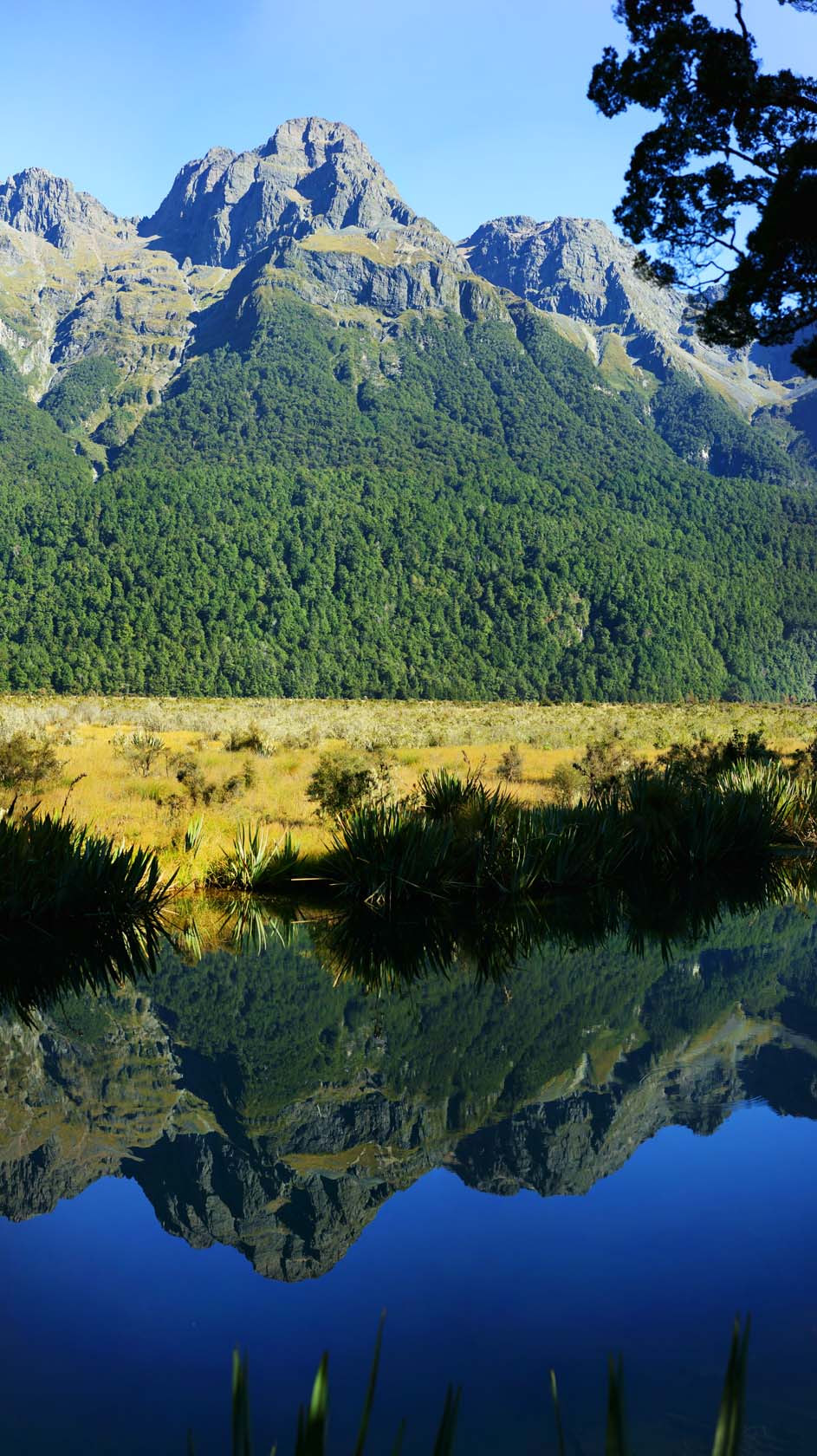 fotografia, materiale, libero il panorama, dipinga, fotografia di scorta,Mirror Lake, , , , 